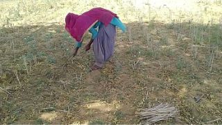 गर्म देसी लड़के ने खेत में कड़ी मेहनत करने वाली अपनी बेवफा को चोदा
