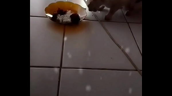 Anita, Si Sapi Seksi Yang Bikin Semua Lelaki Ngiler!