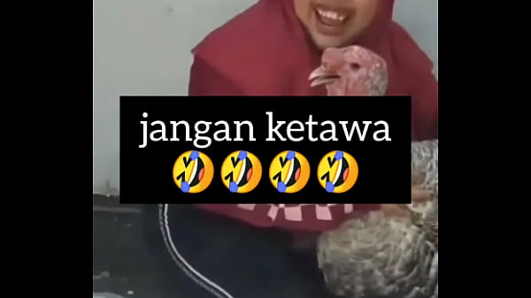 Gadis Gendut Ngakak Sambil Gelinjang Nafsu Panas